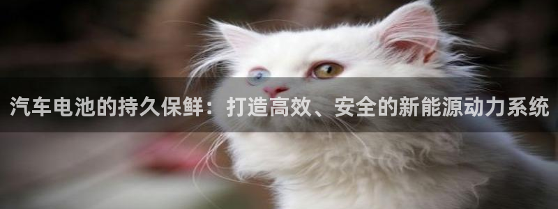 优发国际app官网下载安装苹果：汽车电池的持久保鲜：打造高效、安全的新能源动力系统