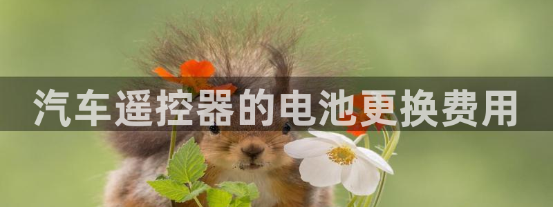 优发国际官网下载安装苹果：汽车遥控器的电池更换费用