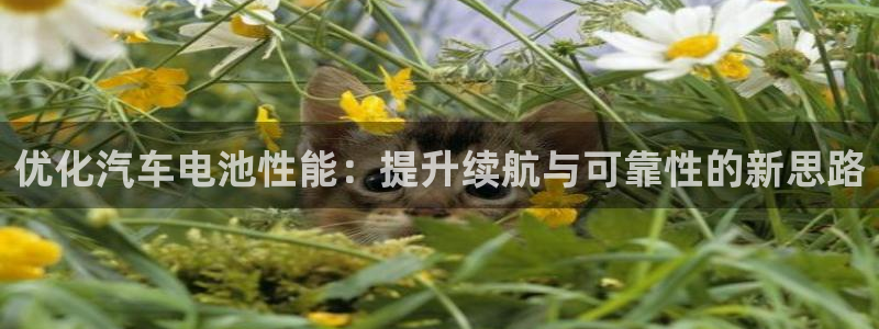 优发国际随优而动一触即发