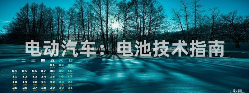 优发国际app官网下载安装苹果：电动汽车：电池技术指南