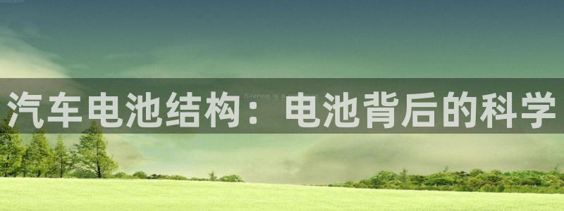 优发国际VIP网址：汽车电池结构：电池背后的科学