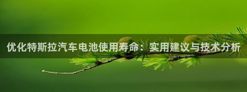 优发国际官网下载苹果版：优化特斯拉汽车电池使用寿命：实用建议与技术分析