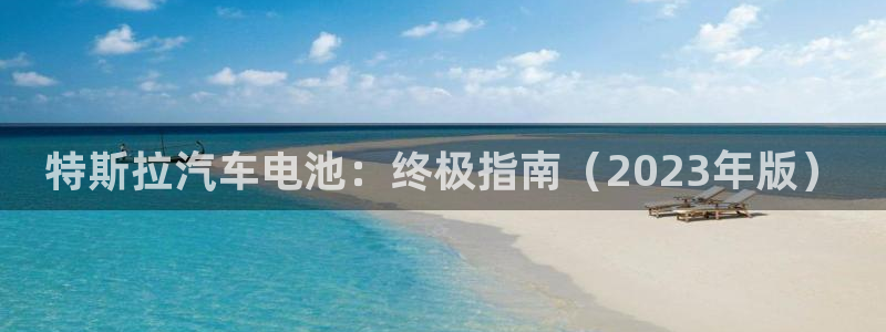 优发国际游戏17：特斯拉汽车电池：终极指