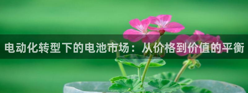 优发国际合并到哪里了