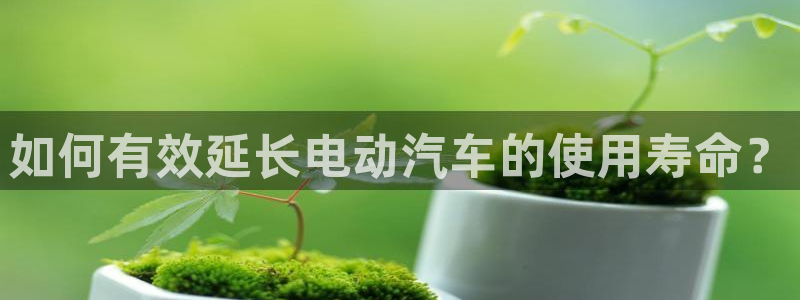 优发国际平台u8