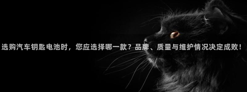 优发国际登录k8：选购汽车钥匙电池时，您应选择哪一款？品牌、质量与维护情况决定成败！