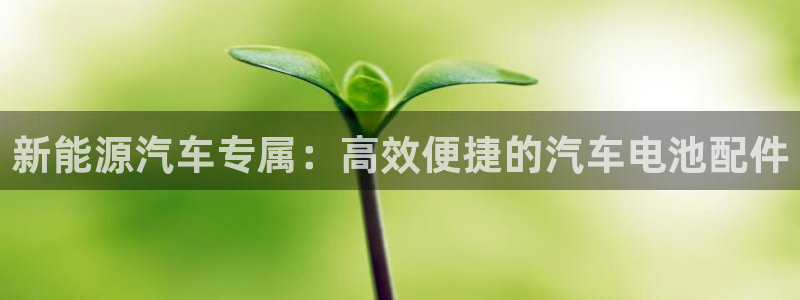 优发国际youfa966：新能源汽车专属：高效便捷的汽车电池配件