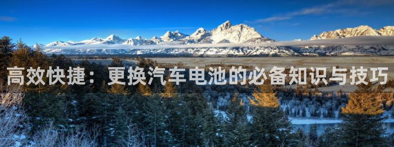 优发国际集团股份有限公司：高效快捷：更换汽车电池的必备知识与技巧