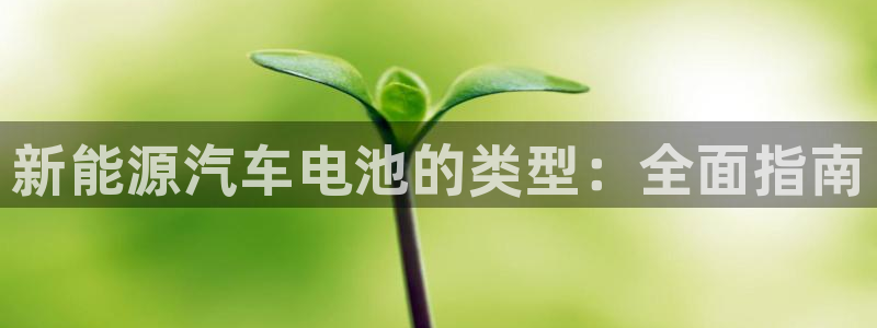 优发国际免费游戏下载：新能源汽车电池的类型：全面指南