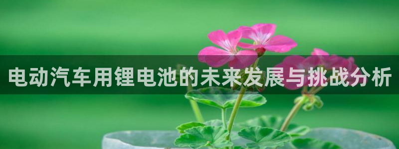 优发国际登录首页