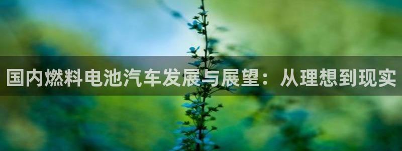 优发国际手机版官网：国内燃料电池汽车发展与展望：从理想到现实