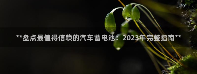 优发国际提现不了：**盘点最值得信赖的汽