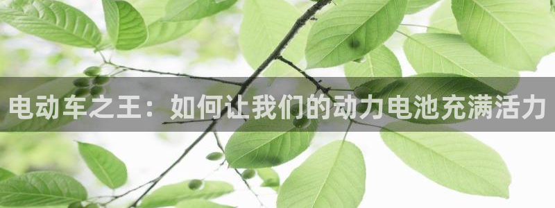 优发国际app登录不了：电动车之王：如何让我们的动力电池充满活力