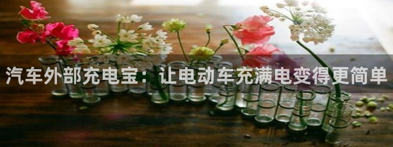 优发国际网官：汽车外部充电宝：让电动车充满电变得更简单