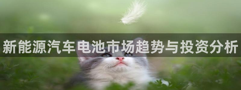 优发国际手机登录下载安装：新能源汽车电池市场趋势与投资分析