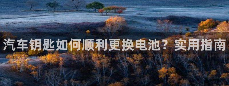 优发国际官网下载安装手机版