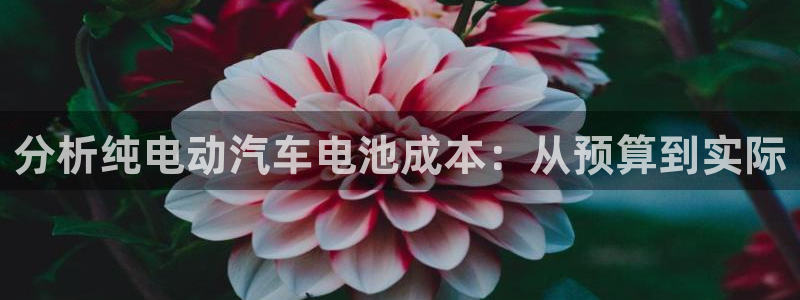 优发国际首页