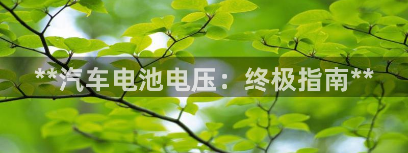 优发国际app登录不了