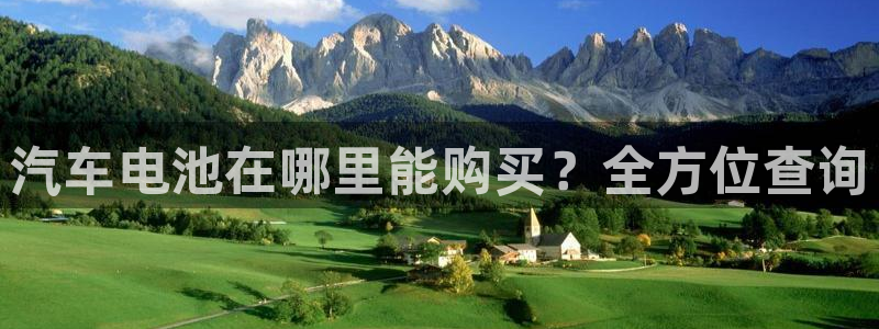 优发国际官网手机版：汽车电池在哪里能购买
