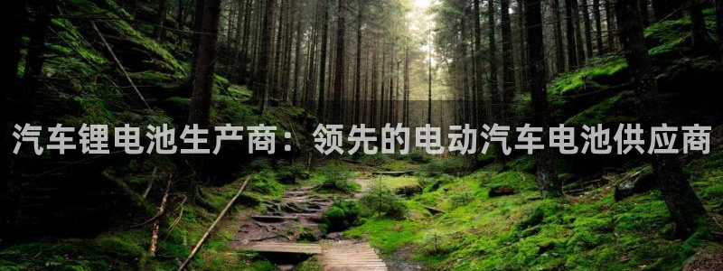 优发国际的网站是：汽车锂电池生产商：领先