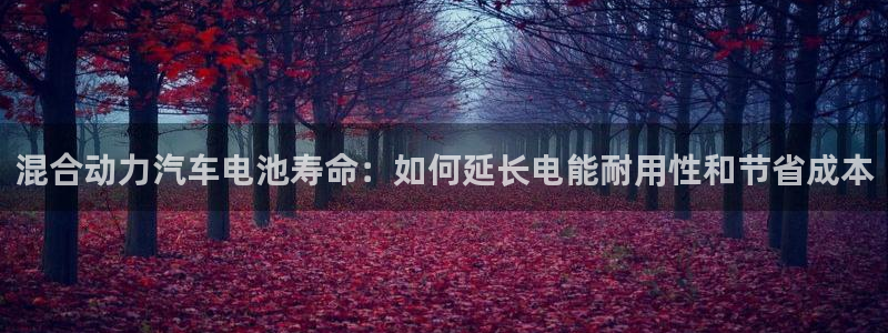 优发国际官方网平台电话：混合动力汽车电池