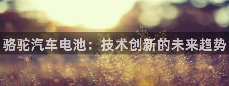 优发国际平台手机版下载官网：骆驼汽车电池