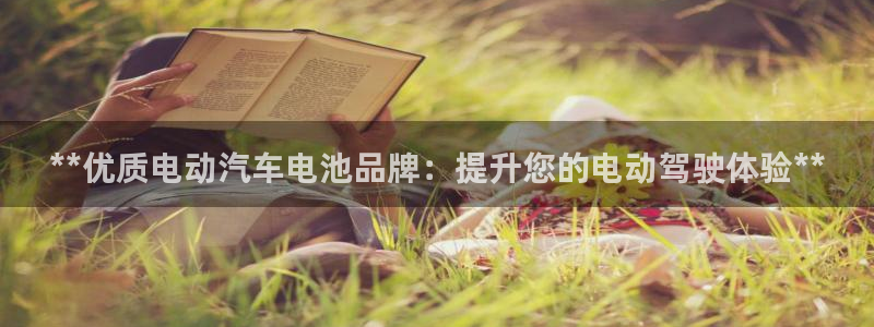 优发国际官网手机版app：**优质电动汽