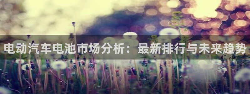 优发国际手机版唯一官网：电动汽车电池市场