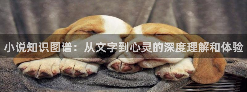 作者菠萝包：小说知识图谱：从文字到心灵的深度理解和体验