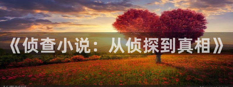 菠萝包轻小说版本：《侦查小说：从侦探到真相》