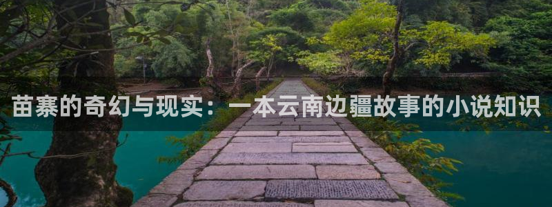 菠萝包轻小说app下载：苗寨的奇幻与现实：一本云南边疆故事的小说知识