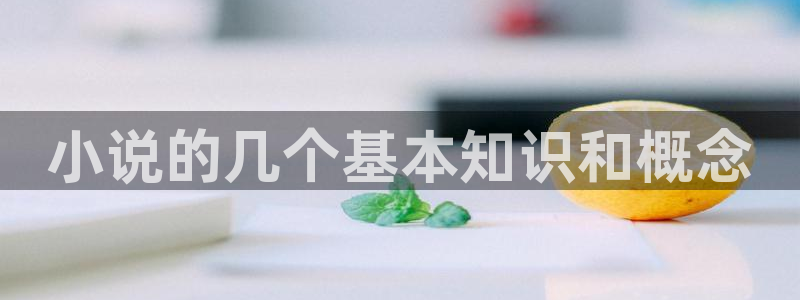 菠萝包轻小说破解：小说的几个基本知识和概念