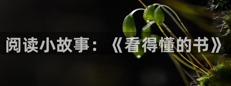 菠萝包轻小说下载：阅读小故事：《看得懂的书》